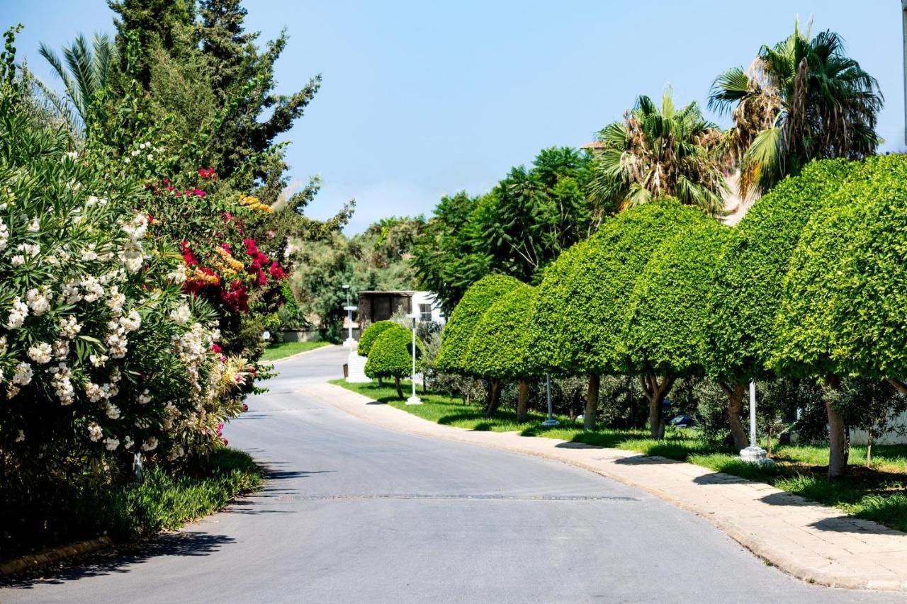 Vuni Palace Luxury Resort & Beach & Casino Kyrenia  Ngoại thất bức ảnh